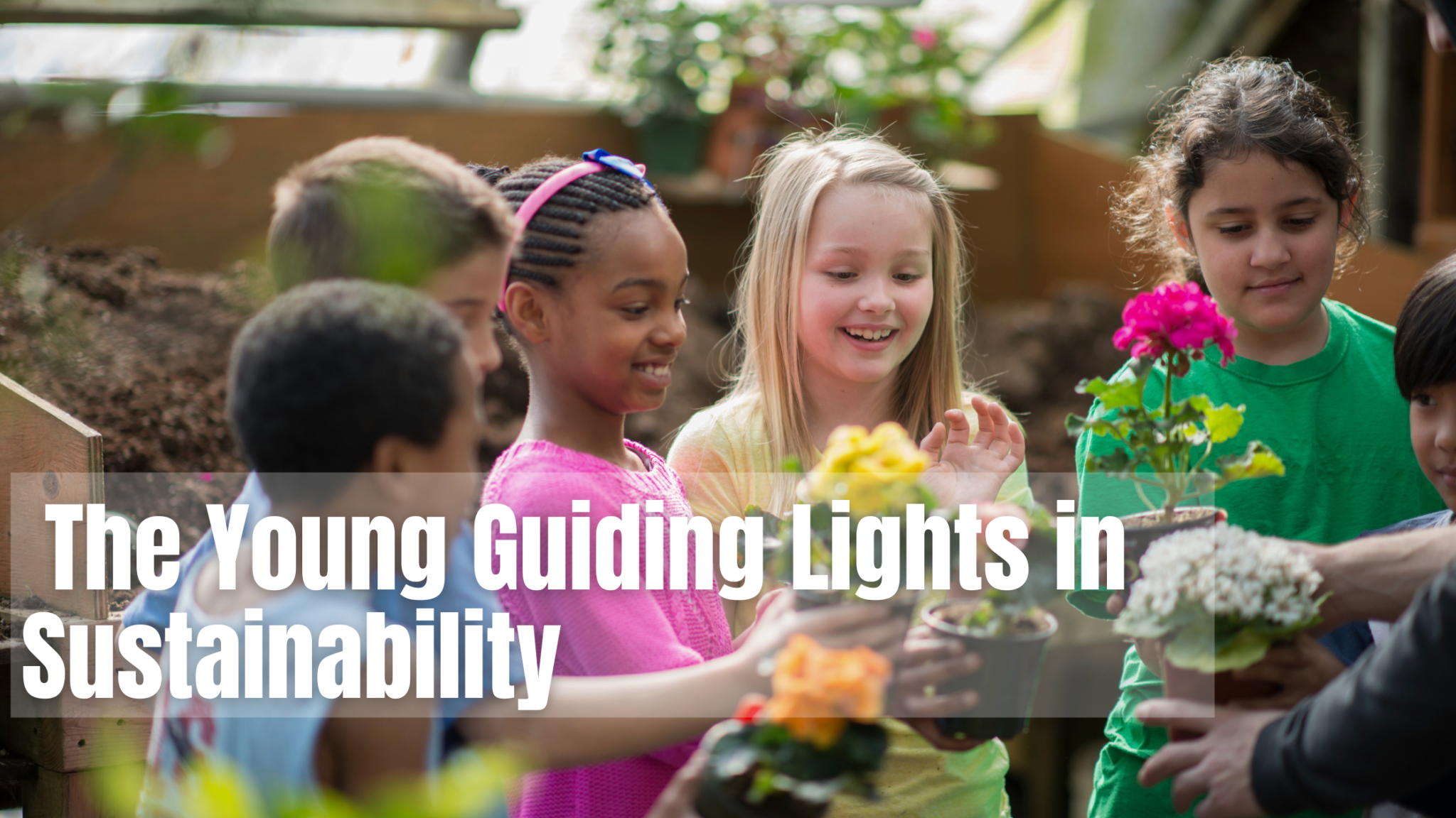 The Role of the Youth in Sustainability