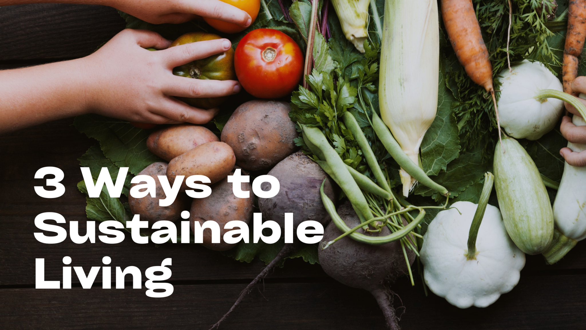 3 ways to Eco-friendly living